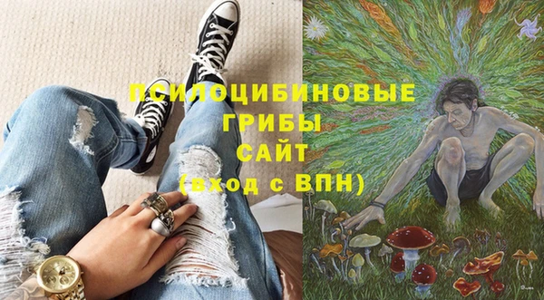 бошки Армянск