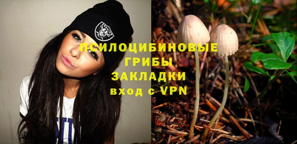 бошки Армянск