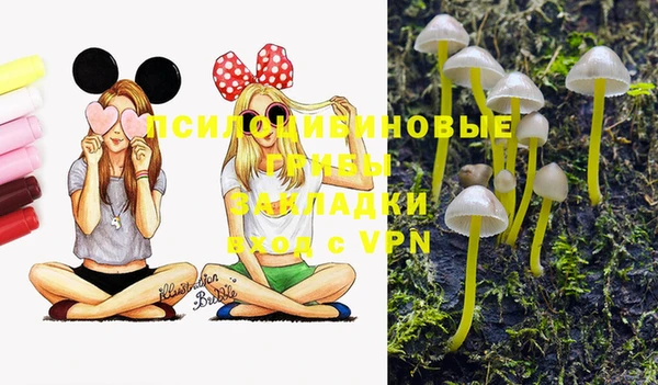 бошки Армянск