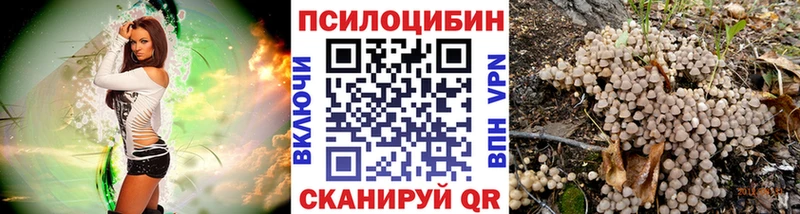Галлюциногенные грибы Psilocybine cubensis  Удачный 